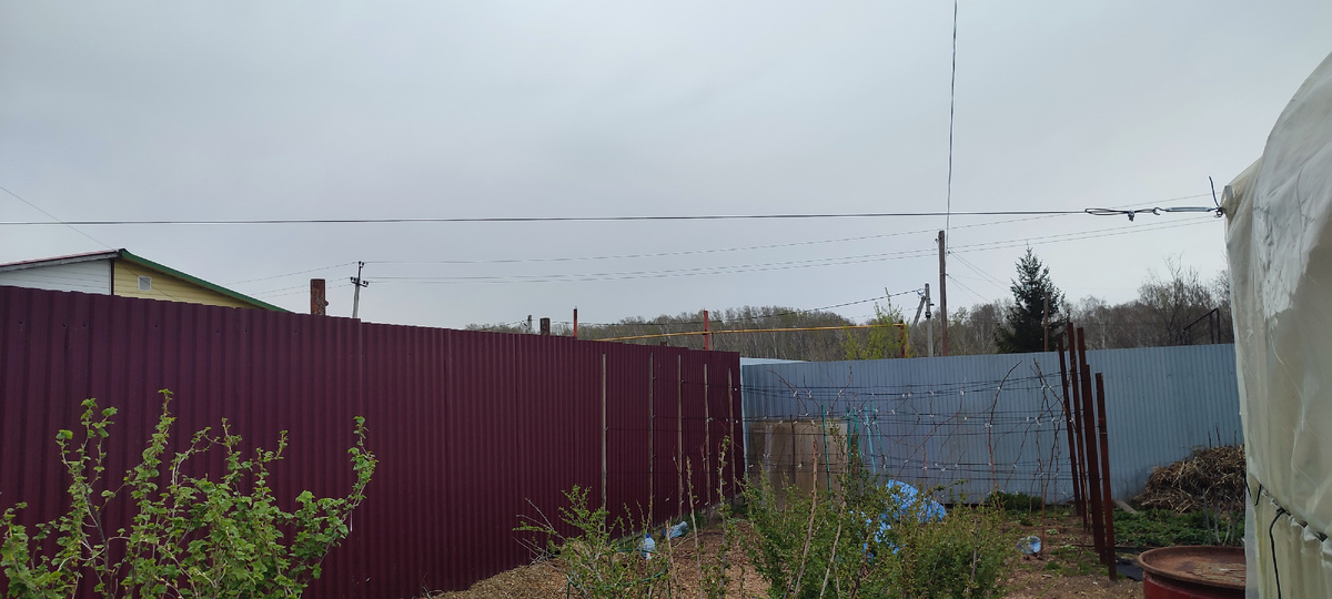 Один край троса крепила к теплице, второй к металлическим столбам забора.  Всего натянула четыре троса. Они высоко, так что ходить мне не мешают. 