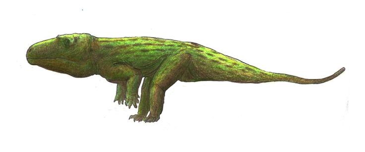 Ужасная и научно  недостоверная двуногая реконструкция эритрозуха.