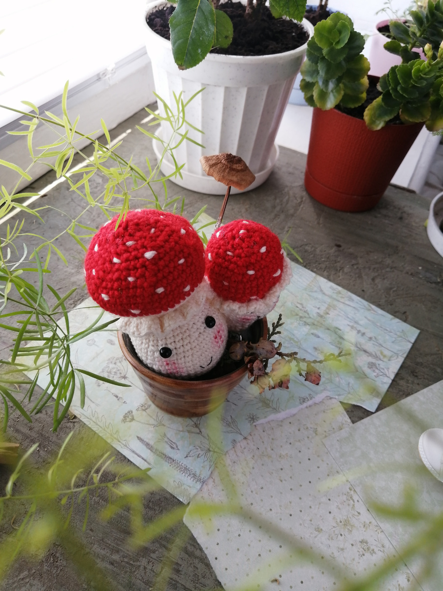 Вязала тогда же, когда и семейство луковок