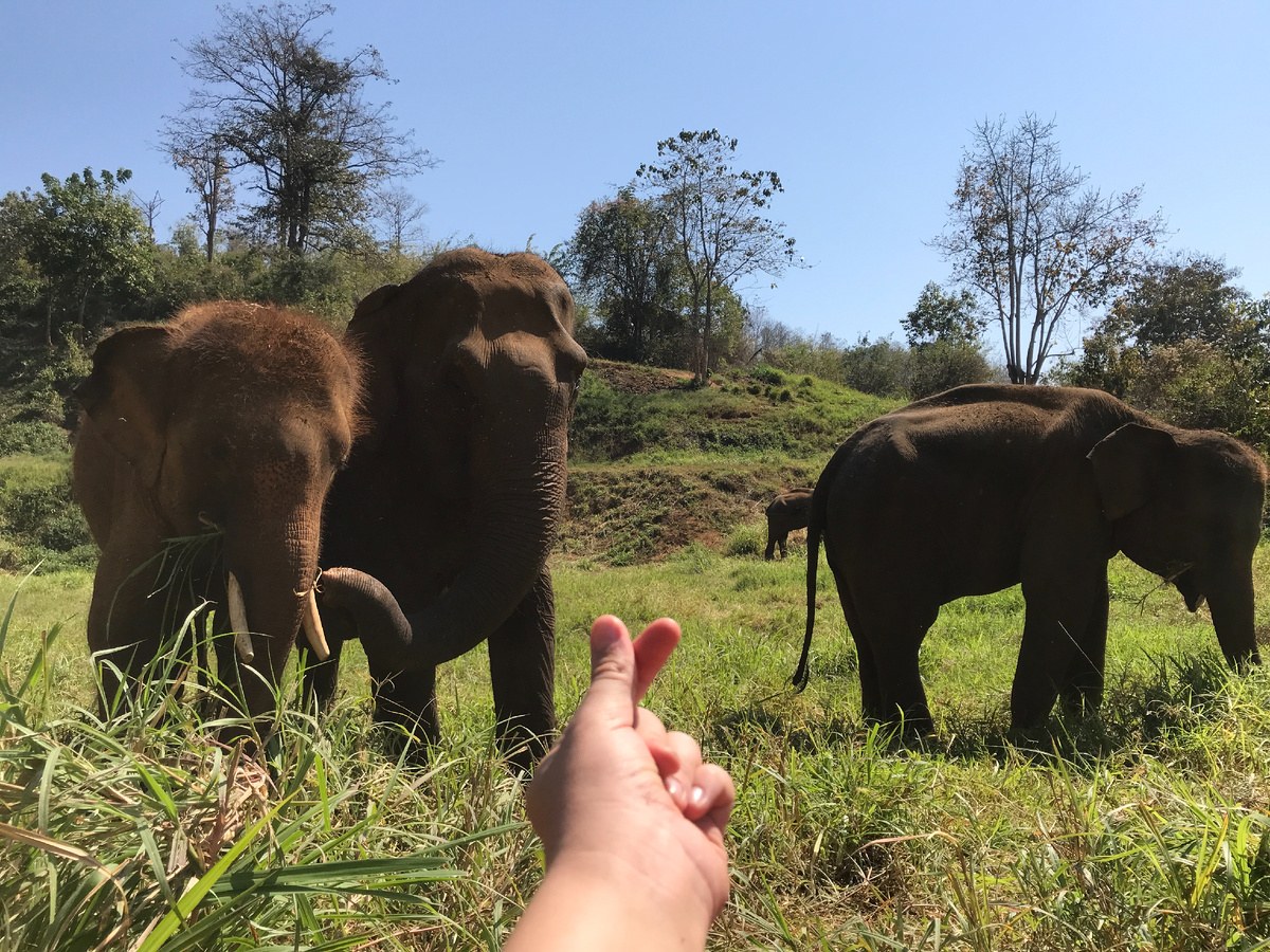 Отличные ребята!