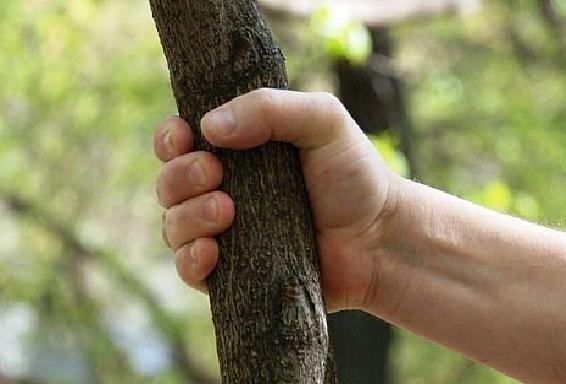    фото открытые источники Редактор