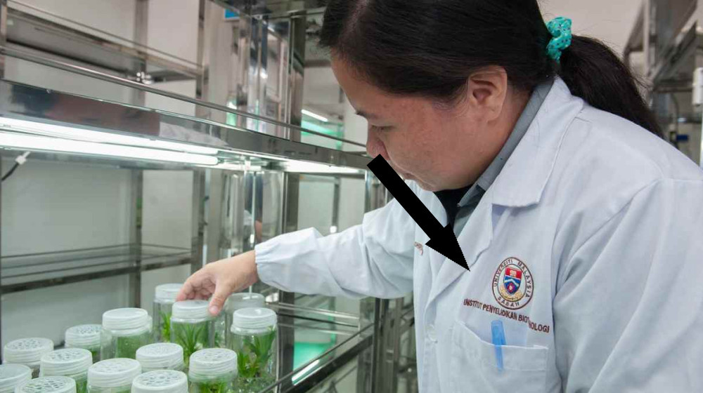    Выращиваем стейк за 3 часа Как российские биотехнологии перевернут пищевую промышленность к 2025 году