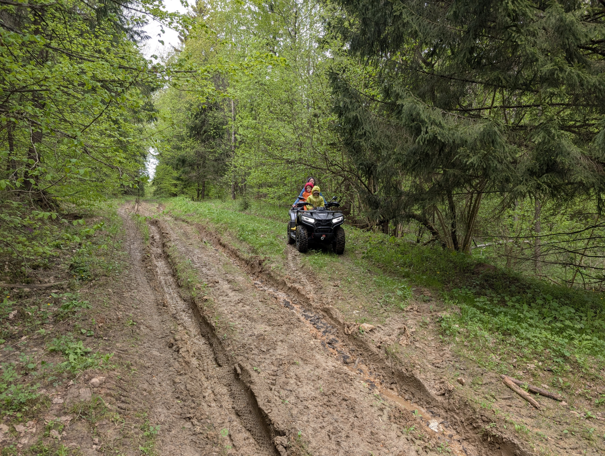 семейный досуг