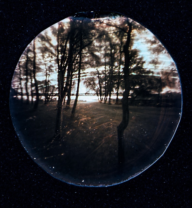 На берегу Ладоги. Экспозиция: 289 дней.