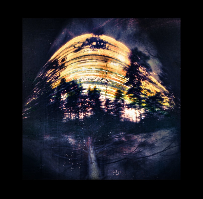 В лесу упало дерево. Экспозиция 402 дня.