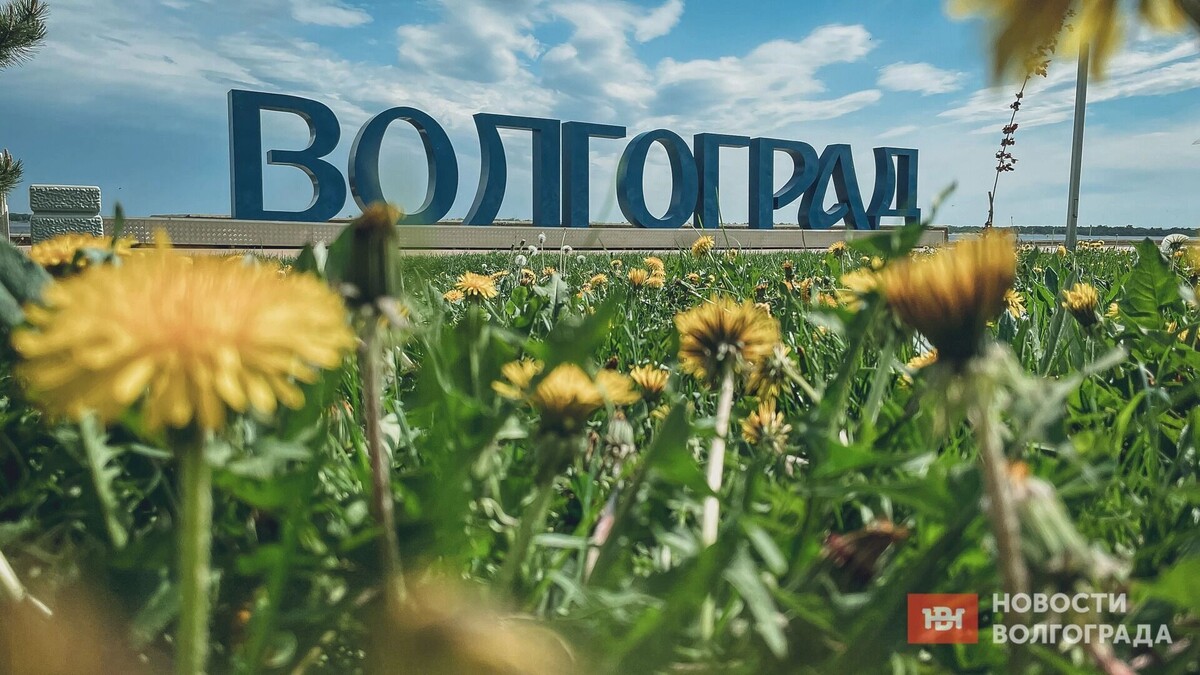     Источник: novostivolgograda.ru