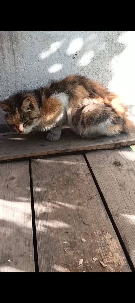 В таком состоянии она пришла за помощью 