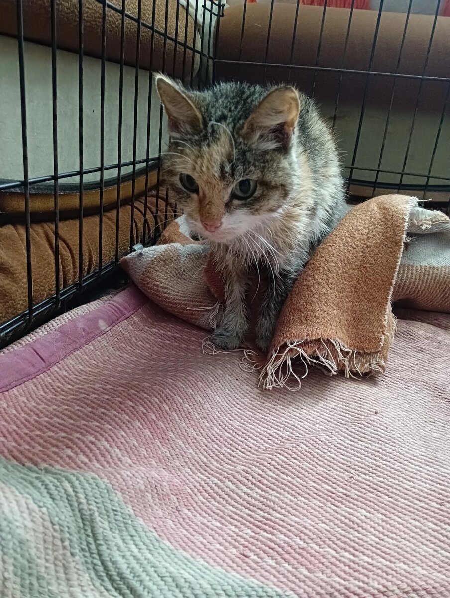 После водных процедур 