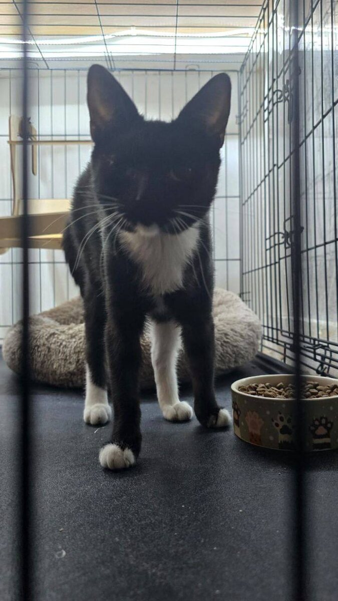 -2