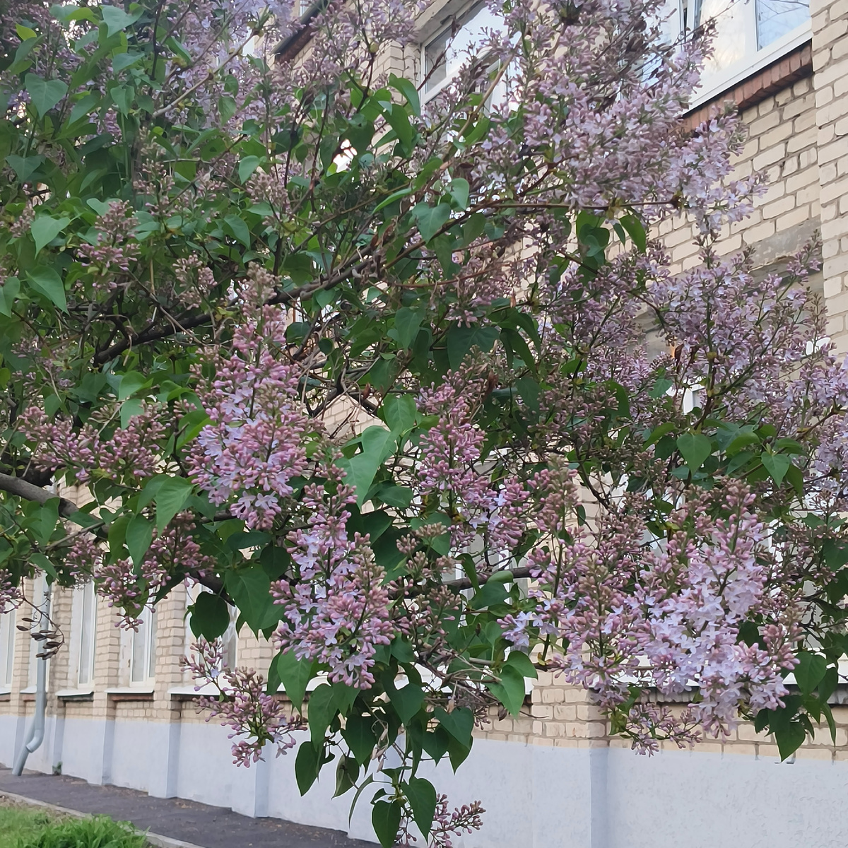 Фото автора. 