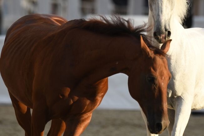     / Источник: ©РИА Новости/Владимир Вяткин