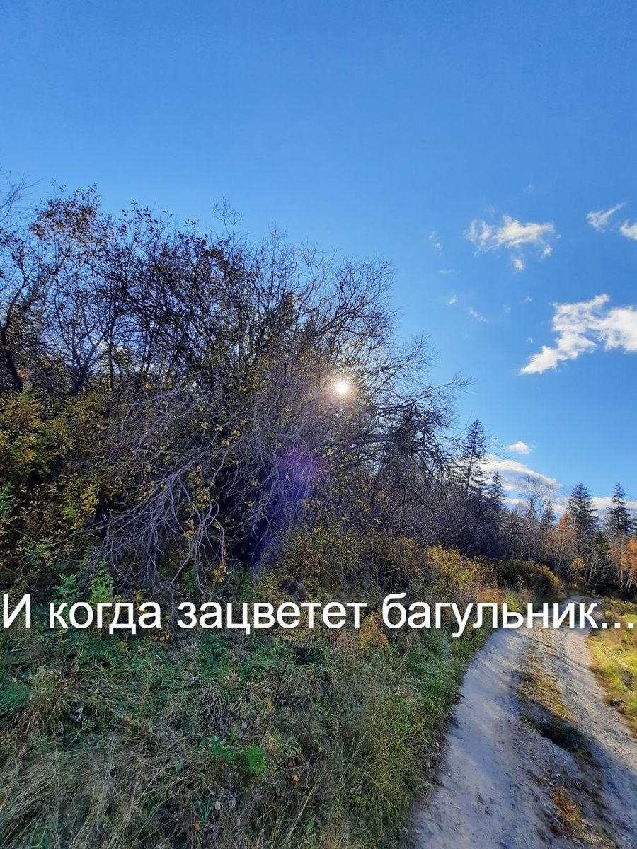 Фото автора.