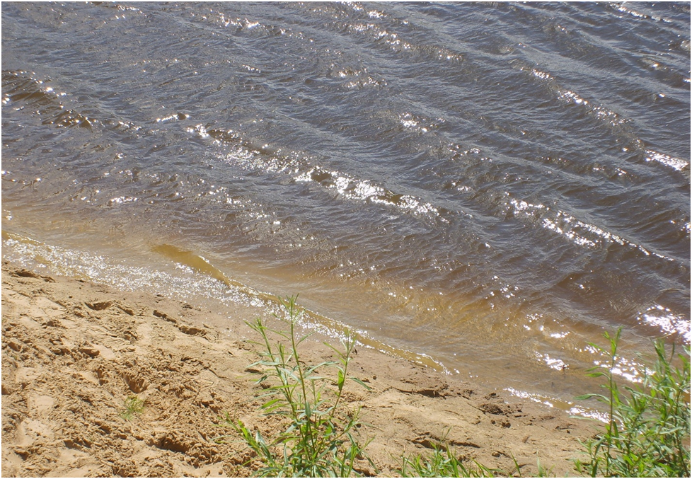 А это наша река в июне прошлого года.