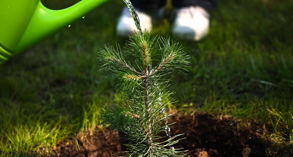    Медиасток.рф