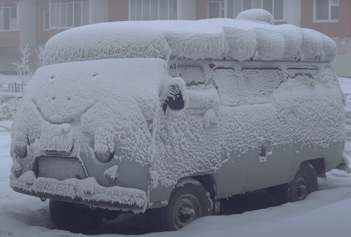 Таких подснежников там много — всё из-за того, что они заглохли.
