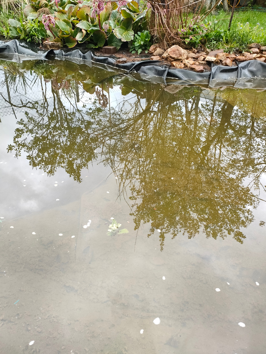 Ну пока не чистые пруды