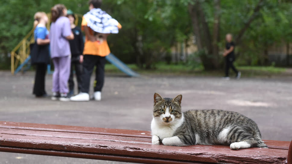 Фото: Александр Коряков / Коммерсантъ