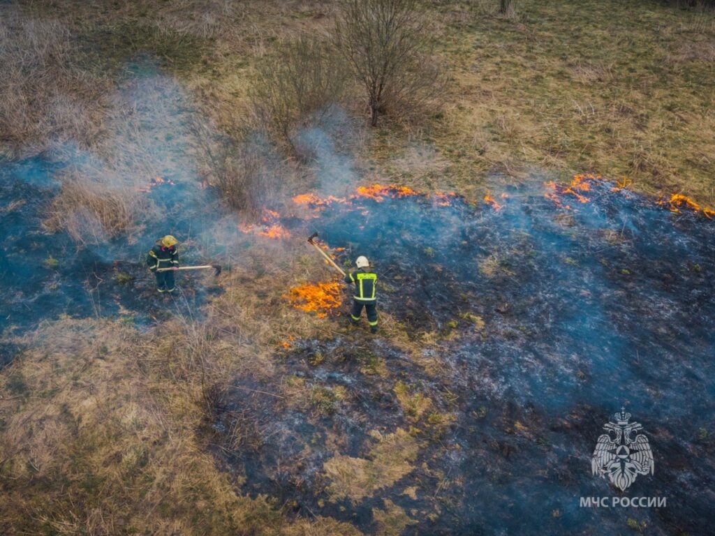   Фото: ГУ МЧС по Смоленской области Елена Воронцова
