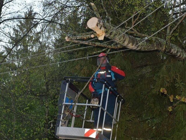    Фото: телеграм-канал "Россети Московский регион"