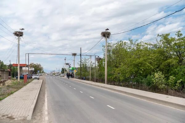 Аисты в гнездах вдоль трассы, ведущей в село Ерасхаун Армавирской области © Sputnik / Aram Nersesyan