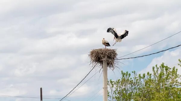 © Sputnik / Aram Nersesyan