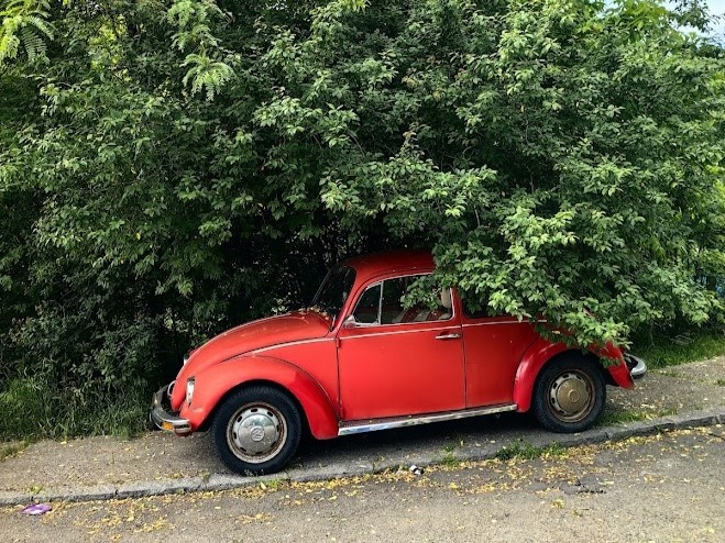 Милота, правда?