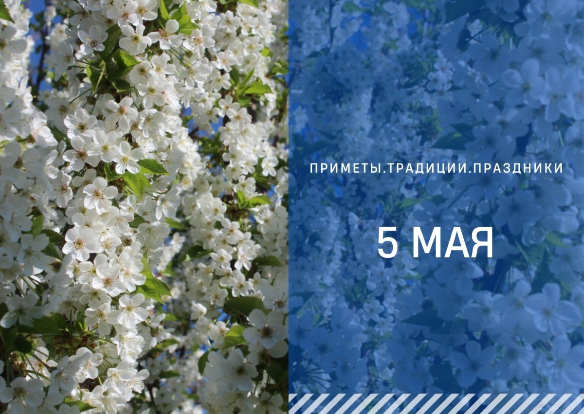   ГТРК "Ставрополье"