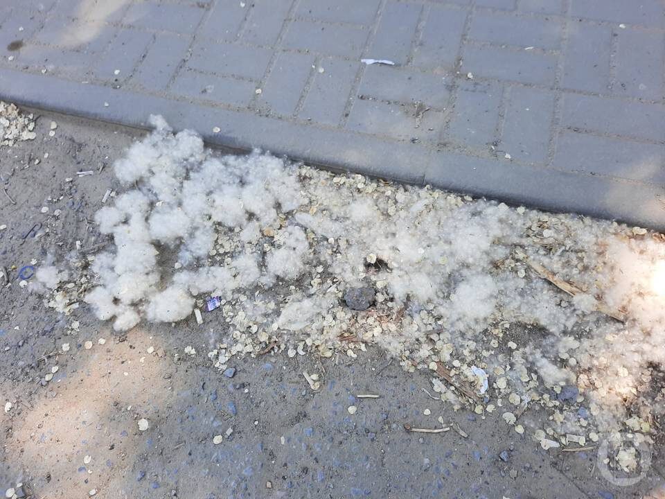    фото: "Городские вести"