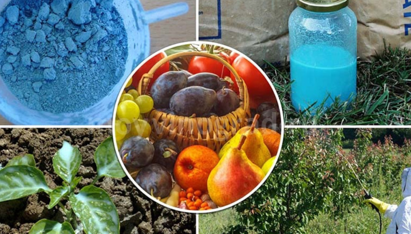 бордоская жидкость