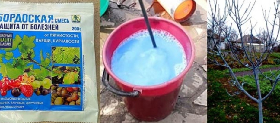 до распускания почек – 3% раствор