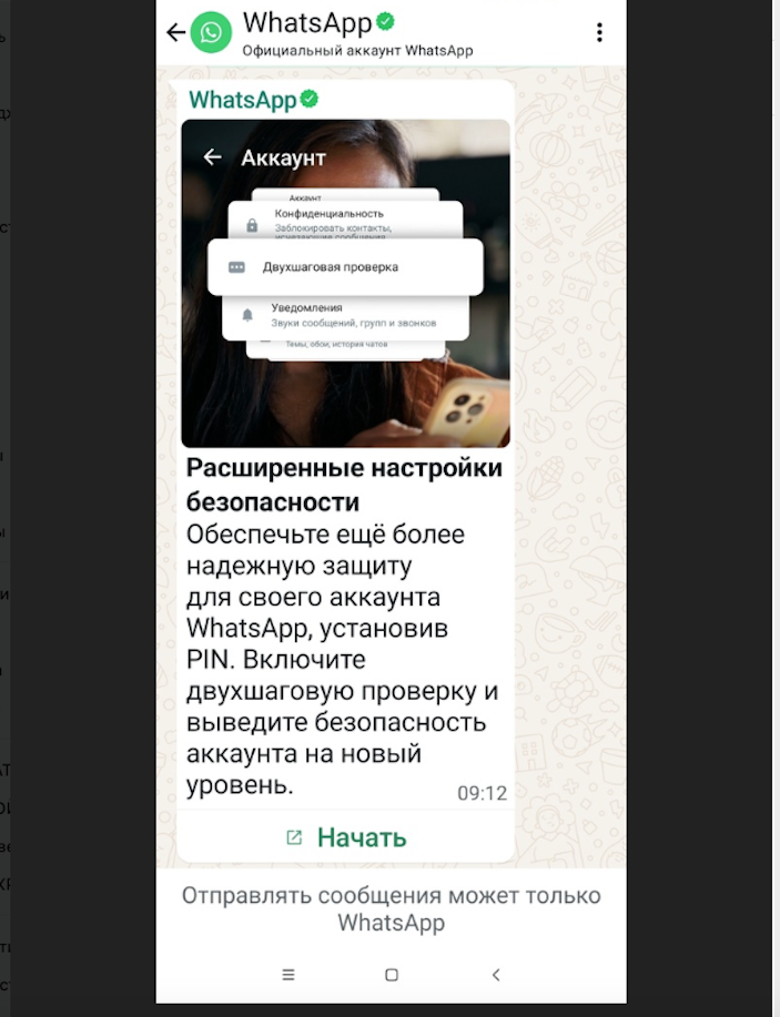 скрин автора 