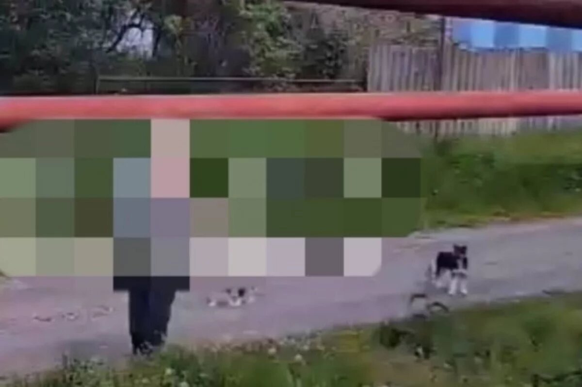    Ставропольские полицейские задержали стрелявшего в щенка мужчину