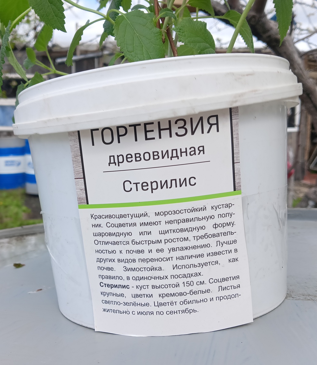 Ее описание