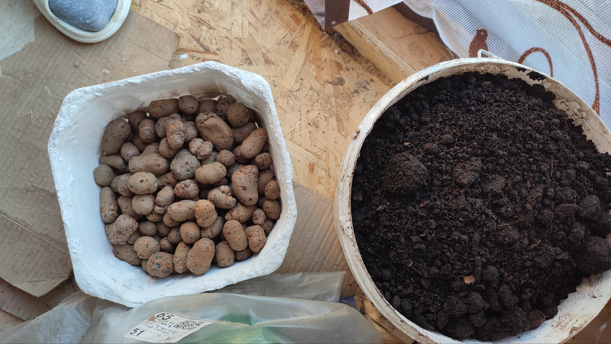 Земля и керамзит готовы к пересадке