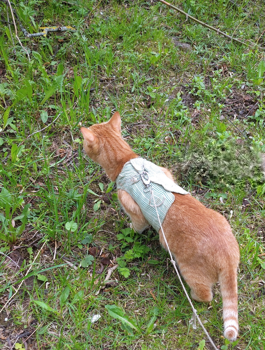 личное  фото