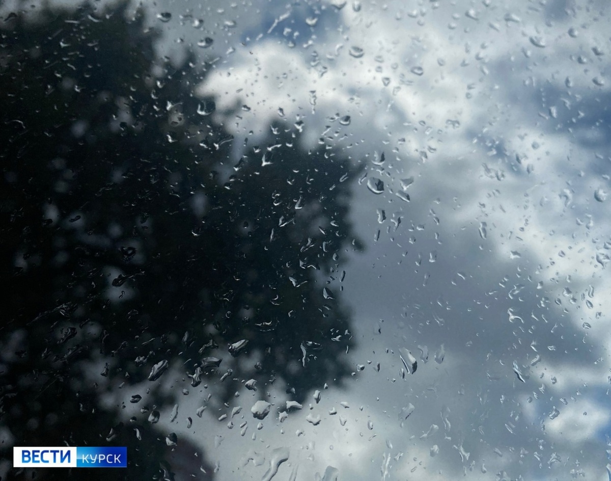    Куряне, убрали зонты? Доставайте!