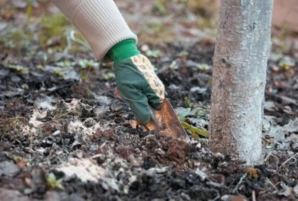 Рис. 2 Внесение удобрений.