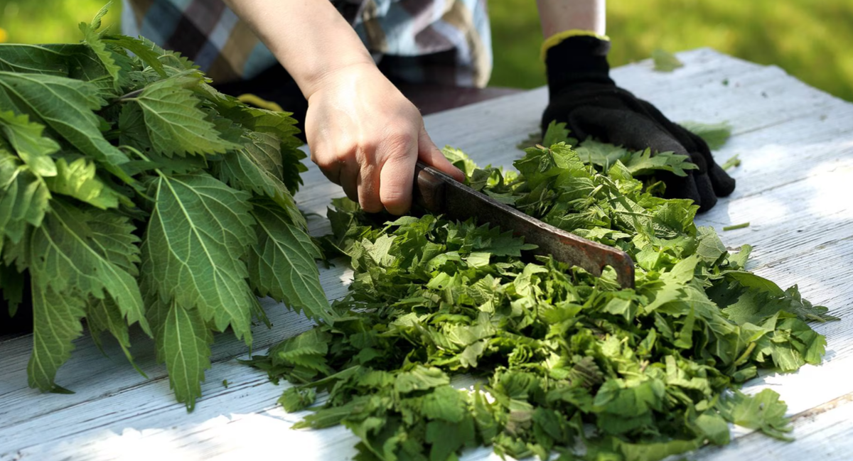 нарубите крапиву