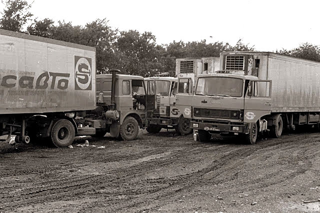 Фото из открытых источников