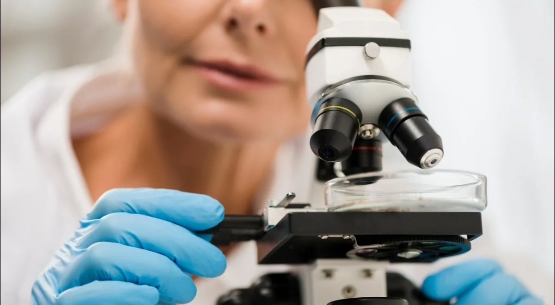 Так и моя мама - биолог искала суть под микроскопом.