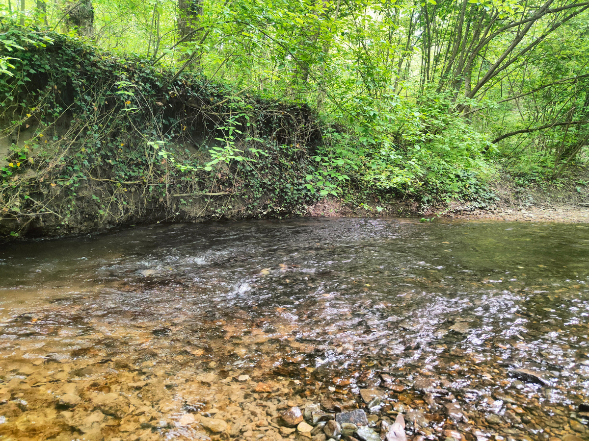 Журчит, бежит 