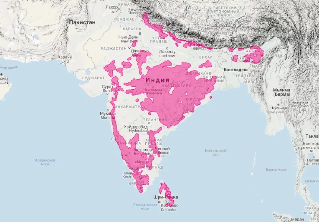 Розовое - ареал нашего косолапого инстаграмера.