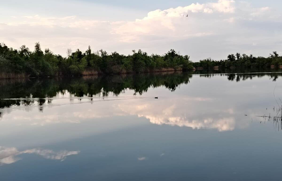 Наша река Сухая