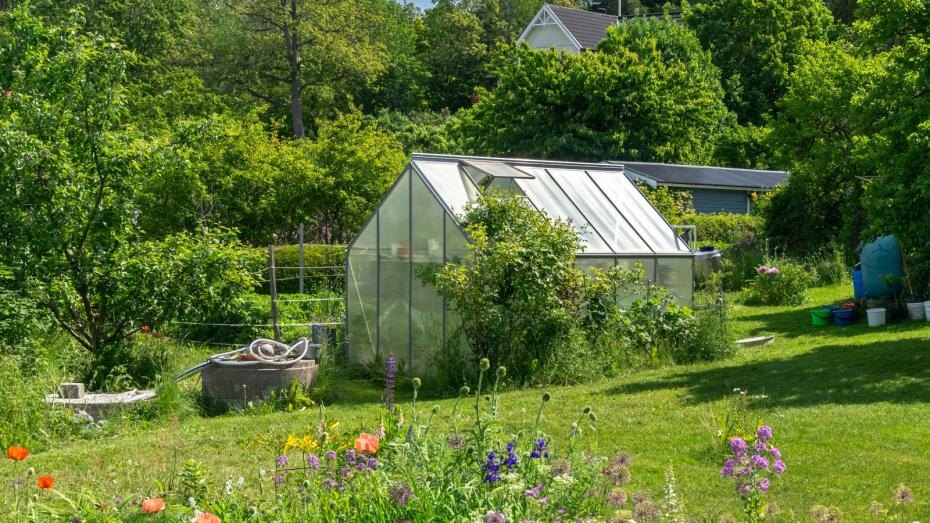    Shutterstock/FOTODOM