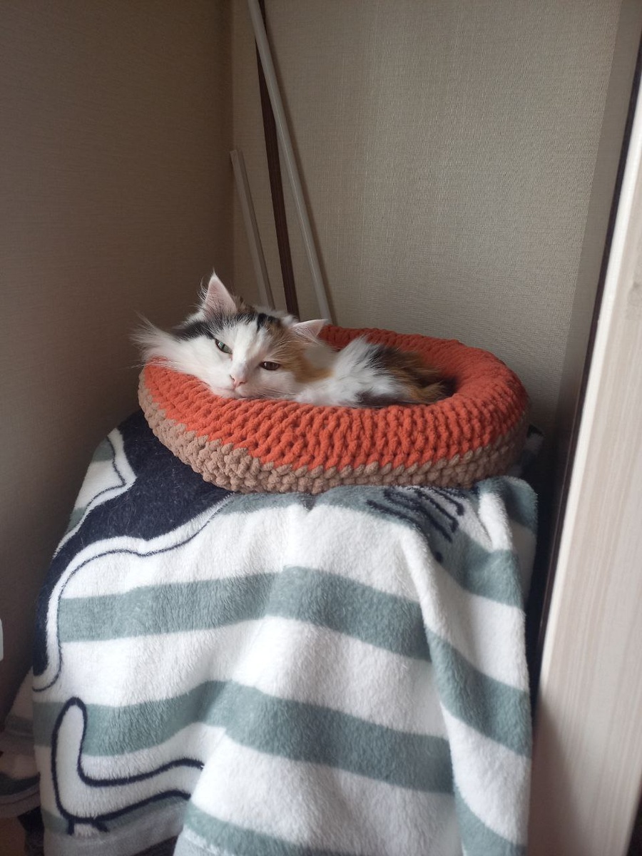 Лучшая лежанка, связанная руками котомамы