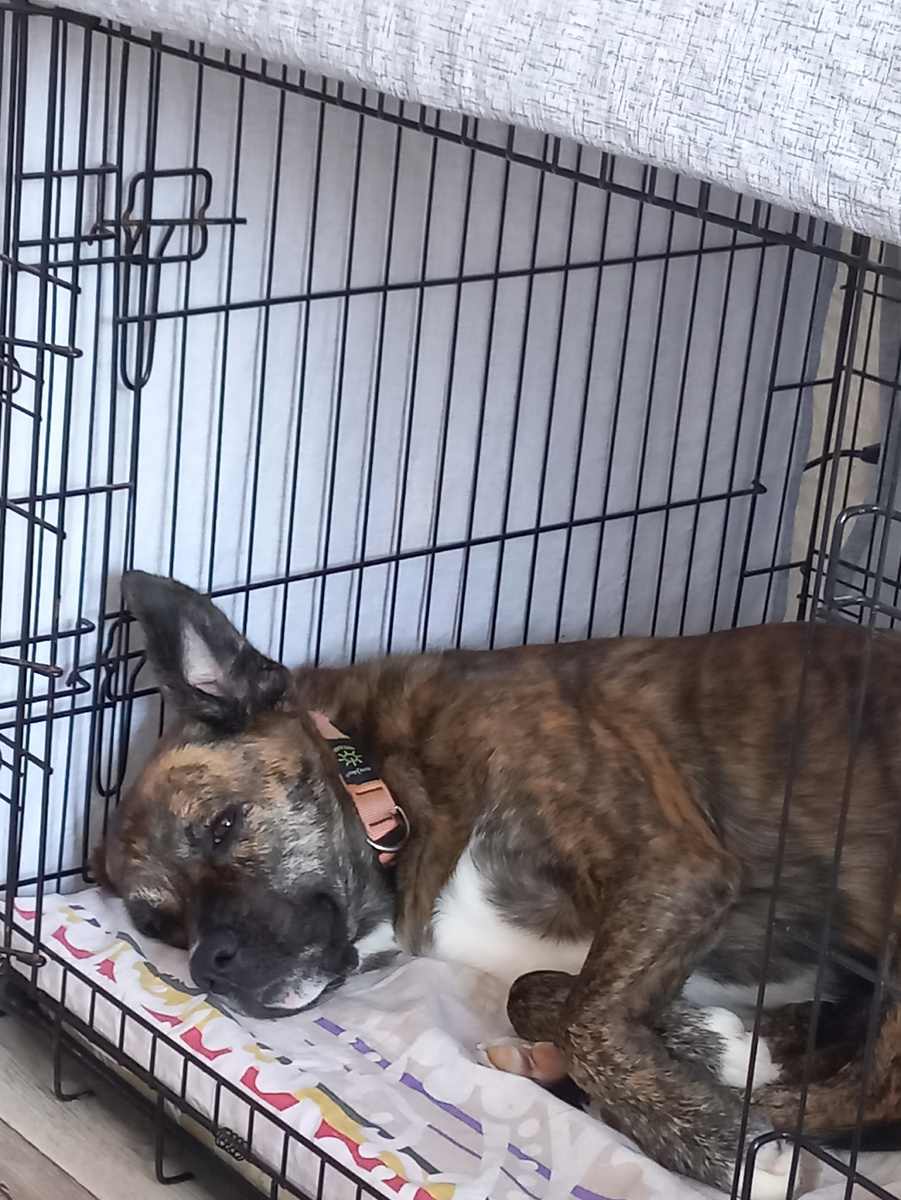 Мартуська в своем домике. Фото из личного архива