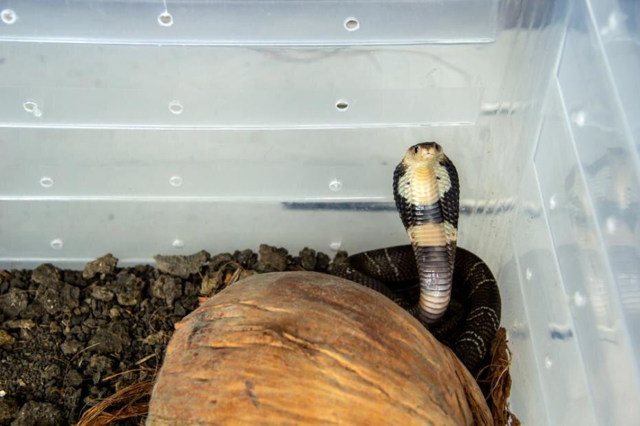    Shutterstock/FOTODOM