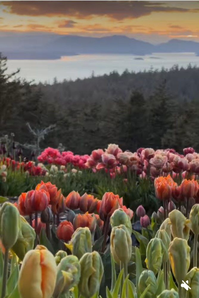 скрин с видео тг канала Е Иолтуховской