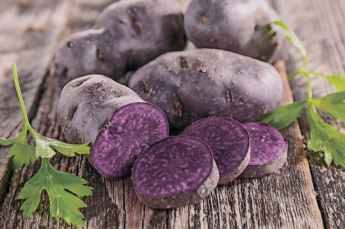    Фиолетовый картофель полезнее обычного белого. Источник: belchas.1prof.by