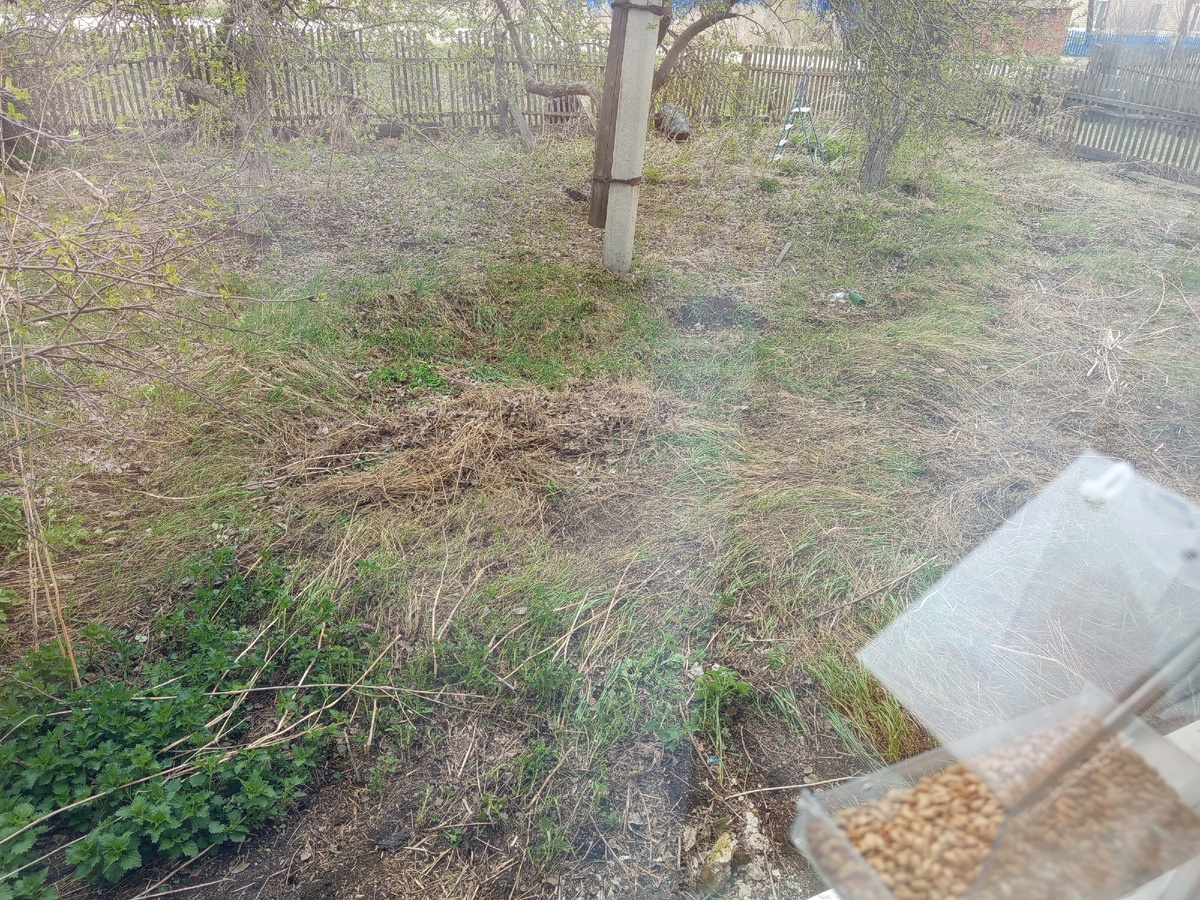 Вид из окна уже радует